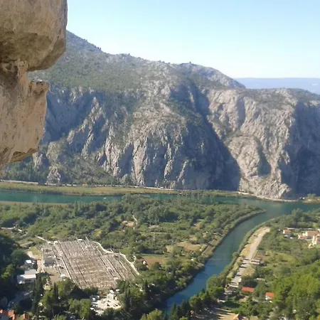 The Fox And The Rabbit * Omiš
